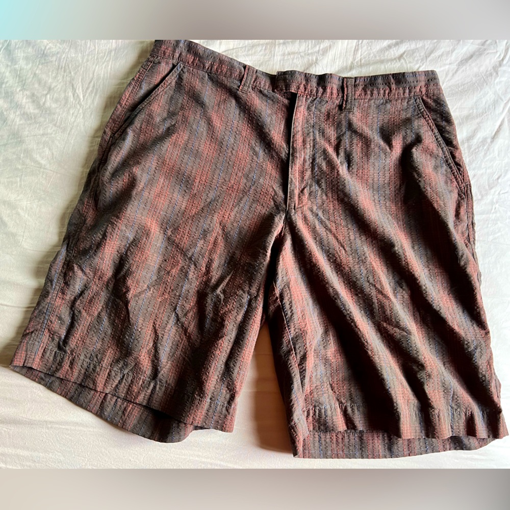 Patagonia shorts